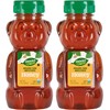 Heaven & Earth Organic Raw Unfiltered Honey, 12 oz (2