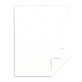 Neenah Astrobrights Color Paper, 8.5” x 11”, 24 lb/89 GSM, Stardust White (Multi-Color Flecked), 500 Sheets (22301)