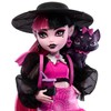 Monster High Draculaura Doll with Pet Bat-Cat Count Fabulous &