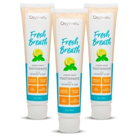 Oxyfresh Premium Maximum Fresh Breath Lemon Mint Toothpaste - Clean Teeth & Fresh Breath - Natural Essential Oils & Natural Xylitol to Help Fight Tartar - SLS & Fluoride Free, 3-5oz