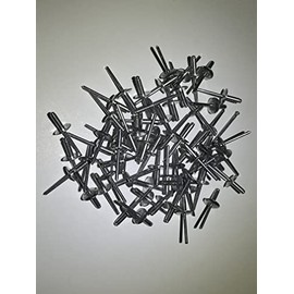 100 Panel Rivets Compatible with Auveco 8313 AD66ABSLF ABL6-6A All Aluminum Rivets Compatible with Universal