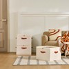 INSTY Shoe Organizer for Closet, 2 Pack Foldable Shoe Storage