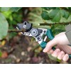 Burgon & Ball RHS Endorsed Rose Pruner, 20 cm Length