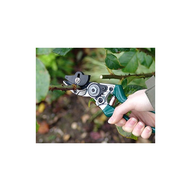 Burgon & Ball RHS Endorsed Rose Pruner, 20 cm Length