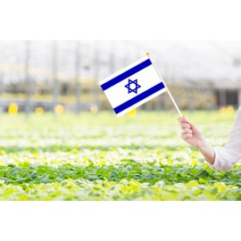 50 Pack Israel Israeli on Stick Flags,Small Mini Hand Held Israel Israeli Flags 5.5x8.3 Inch, Grand Opening, Carnival,Party Events Celebration