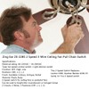 Ceiling Fan Switch Zing Ear ZE-228S 2 Speed 3 Wire