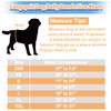 Langsprit Belly Bands for Dogs (Pack of 3) - Dog