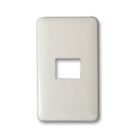 Panasonic WN6001W Full Color Plate