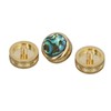 12 Pcs Set Trumpet Valve Finger Button Cap and Rod