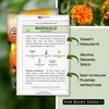 Sow Right Seeds Sow Right Seeds Crackerjack African Marigold Seeds for Planting - Non-GMO Heirloom Seed Packet with Instructions - Companion Plant - Orange & Yellow Blooms Attract Pollinators, Deter Mosquitoes (1)