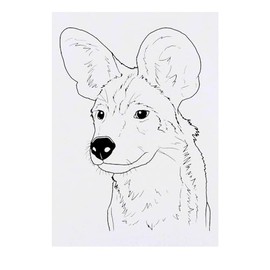 Large 'African Wild Dog Face' Temporary Tattoo (TO00071791)