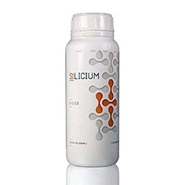 Silicium Mono Silic Acid 500 ML