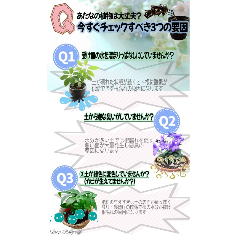 Leap Raupe Pot Bottom Net, 3D Round Pot Bottom Net,