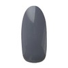 Pregel Gel Nail Color EX Elephant 822
