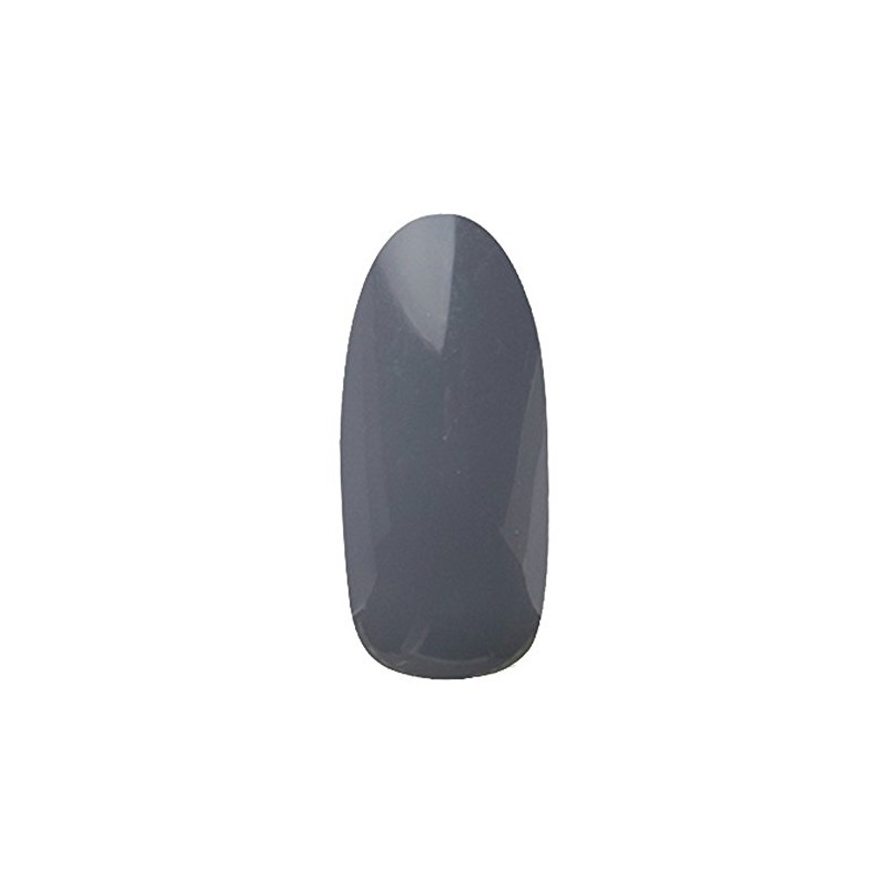 Pregel Gel Nail Color EX Elephant 822