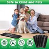 Qualirey 5 Pack 24 x 11'' Mouse Glue Traps, Anti
