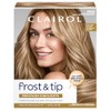 Clairol Nice 'n Easy Frost & Tip Original