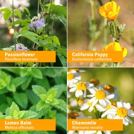 Herb Pharm Kids Certified-Organic Alcohol-Free Fast Asleep Liquid Herbal Formula, 4 Ounce