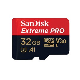 SanDisk Extreme Pro 32GB MicroSDHC Memory Card for GoPro Hero 10 Black Camera (Hero10) UHS-1 U3 / V30 A1 4K Class 10 (SDSQXCG-032G-GN6MA) Bundle with 1 Everything But Stromboli SD & Micro Card Reader