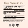 Lions Mane Mushroom Cognition (120 Capsules) Lions Mane Mushroom Powder