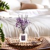Airkeep Reed Diffuser Set,3.38 fl oz (100 ml) - Lavender