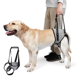 Carrying Aid Dog Stairs, Dog Lift Harness, Mobility Aids, Adjustable for Hind Legs, Support for Weak Legs, Surgery, Rehabilitation (XL)