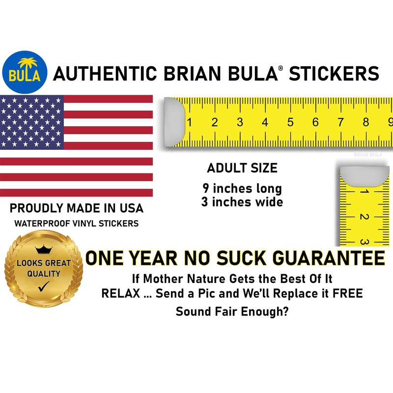 Land Back Bumper Sticker Colonial Theft of Indian Property Land