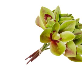 XIYUAN Artificial Cymbidium Orchids Artificial Orchids 12 Bunch Artificial Flowers Outdoor Fake Flowers Green Shrubs Plants for Wedding Decoration Home Decoration (Green)