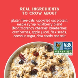 Seven Sundays Protein Oats, Wildberry, 32 Oz Bag (Pack of 4), Gluten Free, 10g Upcycled Protein, Enjoy Warm, Cool or as Overnight Oats