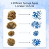Naroa Artist Natural Sea Sponges for Painting 4 Pack |