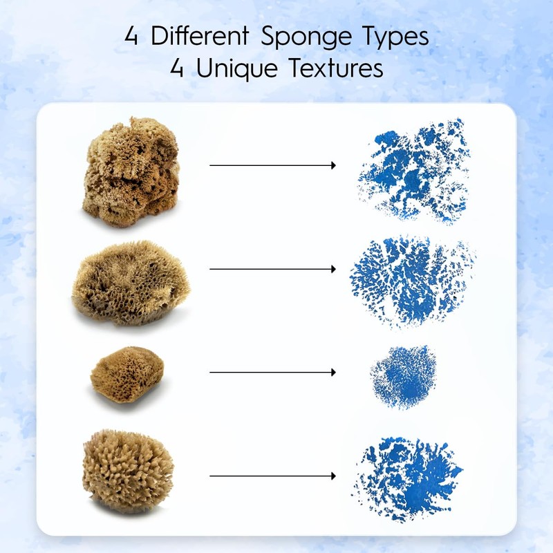 Naroa Artist Natural Sea Sponges for Painting 4 Pack |