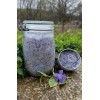 Wild Hen Hollow Spring Awakening Body Sugar Scrub, Exfoliating, Brighten,