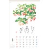 Tomihiro Hoshino 2026 Calendar Poetry and Painting Collection Wall-hanging Jewel