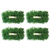 SodPods® St Augustine Floratam Grass Plugs for Lawn Repair, 3"