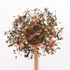 JusTea PURPLE MINT | Loose Leaf Purple Tea | Recyclable