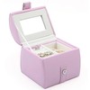 JTC LTD Pink Jewelry Box with Handle – 2-Layer Lightweight