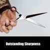 JAGUAR White Line Silver Ice Hair Scissors, Classic Design, Forged