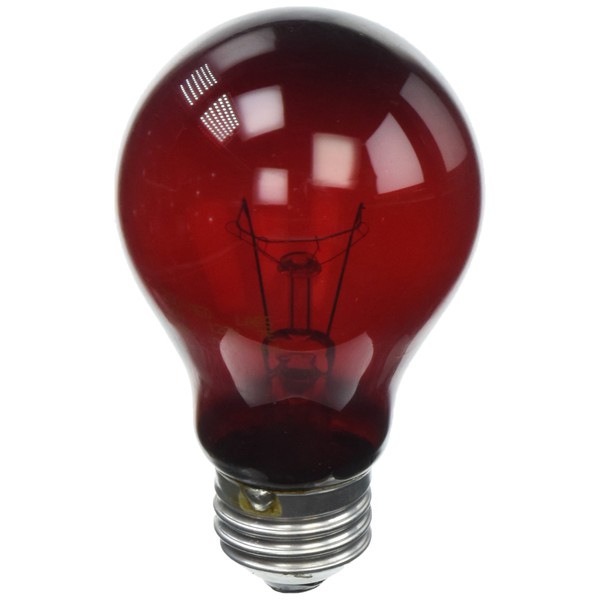 Zoo Med Nightlight Red Reptile Bulb 60 Watts (4 Pack)