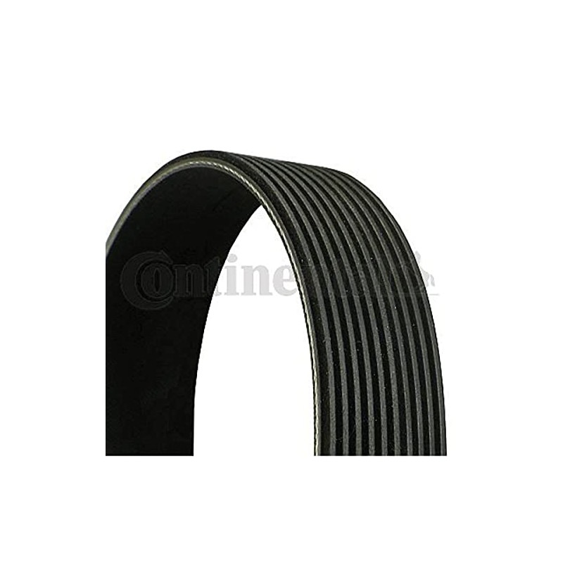 Contitech 10PK1545 V-Belt Handles