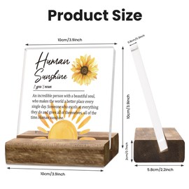 Human Sunshine Gifts, Papiailove Acrylic Desk Decor With Wooden Base, Thank You Gifts for Women Men, Gifts for Coworker Leader Teacher Coach Mentor