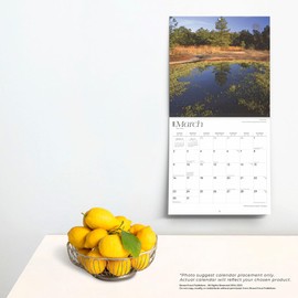 South Carolina Wild & Scenic | 2025 12 x 24 Inch Monthly Square Wall Calendar | Plastic-Free | BrownTrout | USA United States of America Southeast State Nature
