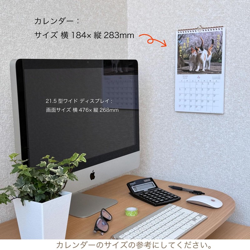 Active Corporation 2026 Calendar Wall-mounted Sunbathing Cat Chronicles 26ACL-04 2026