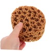 Sosoport Imitation Sea Sponge Painting Tool Unique Textured Sponge Brush