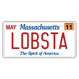 Replica License Plate of US States, Embossed Novelty Metal Number Tags, Prop Car Registration Plates, 12x6 Inches…