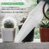 Beauty PLAYER Water Supply Cap, Plants, Set of 12, Japanese