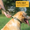 SVD.PET Dog Prong Collar for No-Pull Training, Quick-Release Buckle Adjustable