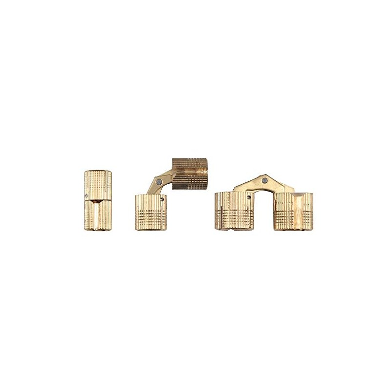 Zysa Cylinder Hinge Brass Hole Diameter 12 mm
