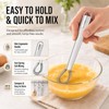 2 Pack Stainless Steel Mini Whisks Spring Coil Wire Egg