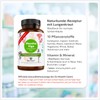 BonVigo® MenthaVigo Lungwort & Eucalyptus, 120 Capsules, 11 Plant Extracts,