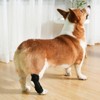 Dog Rear Leg Brace Prevent Licking Fixing Strap Spring Support